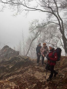 Skuina domačih planink na Babi